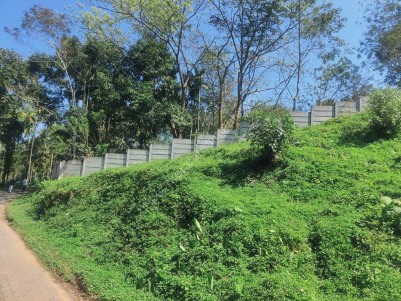 Land for Sale at Kenichira, Wayanad 