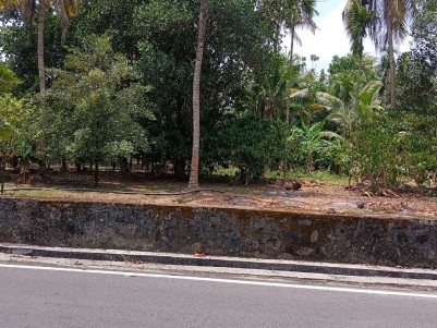 Prime Residential Land for Sale at Angamaly, Ernakulam
