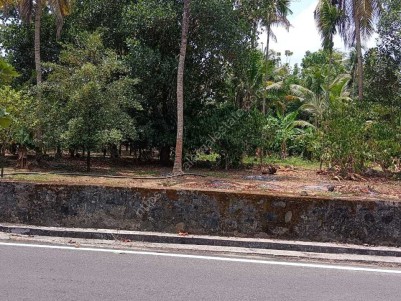 Prime Residential Land for Sale at Angamaly, Ernakulam