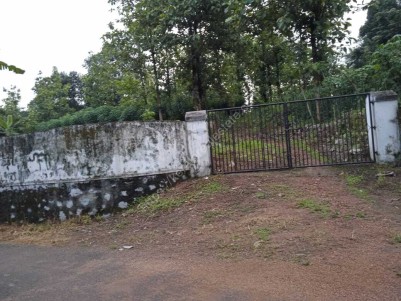 Residential Land (Purayidom) for Sale near Kunnamthanam- Mylamannu- Paippad Road, Pathanamthitta