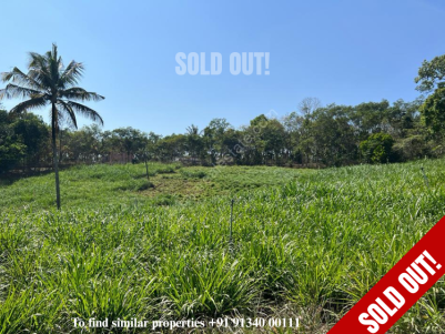 Land for Sale at Mananthavady, Wayanad