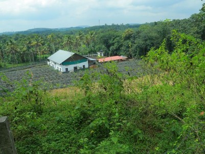 2.085 Acres of Property with 3 BHK House and 3000 Sq.ft Building for Sale at Piravom, Ernakulam