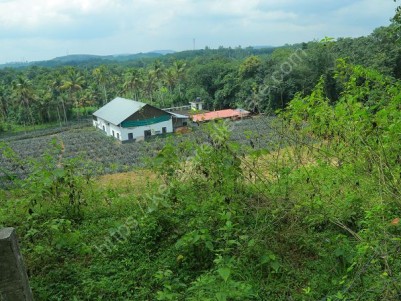  3 BHK House and Building for Sale at Piravom, Ernakulam