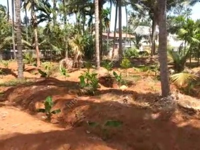 60 Cents of Residential/ Commercial Plot for Sale in Kodannur, Thrissur