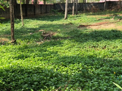 Land for Sale near Technopark, Kazhakootam, Trivandrum