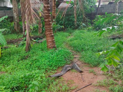Prime Residential Land For sale at Kozhikode
