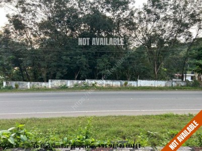 Prime Land for Sale on Thodupuzha - Pala Highway, Thodupuzha, Idukki