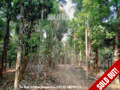  Land for Sale at Anjukunnu, Mananthavady, Wayanad
