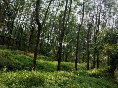 86 Cents of Residential Plot for Sale at  Kanichar, Kannur