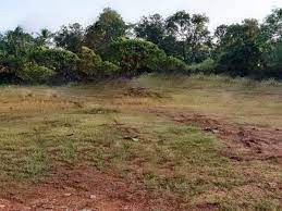 41 Cents of Residential Land for Sale at Kuthuparamba, Kannur 