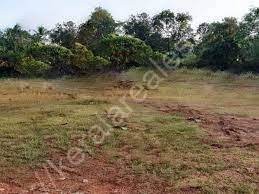 41 Cents of Residential Land for Sale at Kuthuparamba, Kannur 