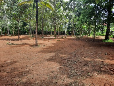 40 Cents of Prime Residential Land for Sale at Kottiyam, Kollam