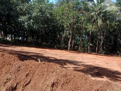70 Cents of Residential Land for Sale at Mulavana, Kollam