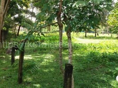 Residential Plot for Sale in Mullappally, Cherthala, Alappuzha