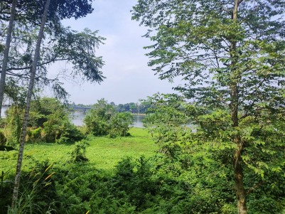 Waterfront Property for Sale at Marampilly, Aluva, Ernakulam