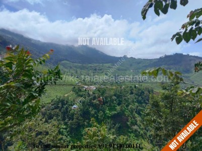 Commercial Plot for Sale Near Munnar Town, Idukki