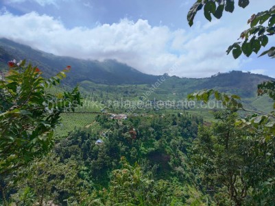 Commercial Plot for Sale Near Munnar Town, Idukki