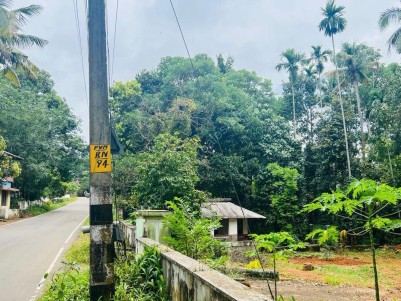 Land for Sale at Nechoor, Ernakulam