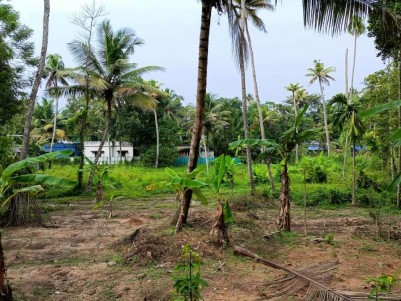 23 Cents of Residential Land for Sale at Mayyanad, Kollam