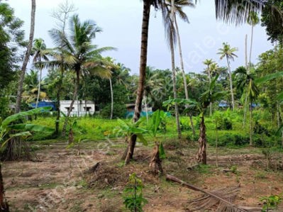 Land for Sale at Mayyanad, Kollam