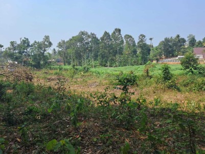 Residential Plot for Sale at Kuzhimattom, Kottayam