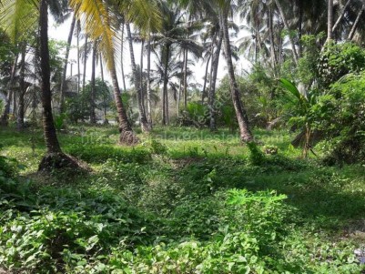  Residential Land for Sale at Elathur, Calicut