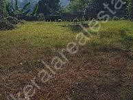 71 Cents of Residential Land for Sale at Kanjirappally, Kottayam