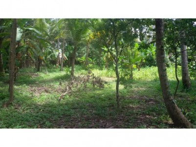 35 Cents of Residential Land for Sale at Paravoor, Ernakulam