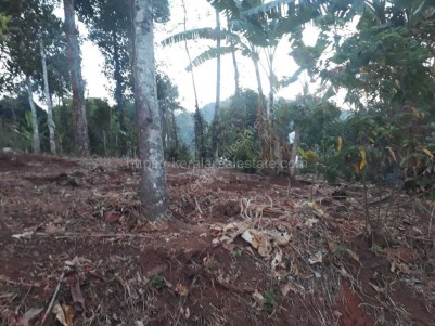 Prime Residential Land for Sale at Kunjithanni, Near Munnar, Idukki