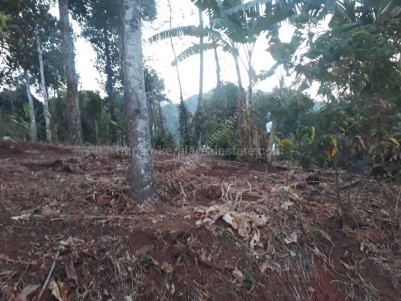 Prime Residential Land for Sale at Kunjithanni, Near Munnar, Idukki