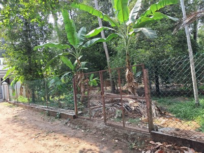 Prime Residential Land for Sale in Thachudaparambu, Chalakudy, Thrissur