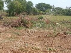 Prime Residential Land (3 Plots) for Sale near Vadavathoor, Kottayam