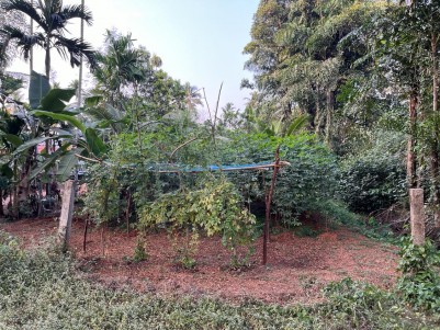 Waterfront Land for Sale in Vaikom, Kottayam