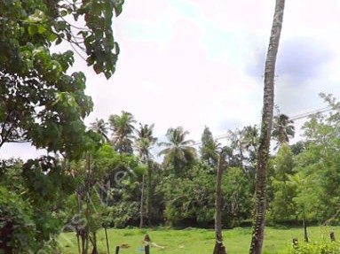 Land/ Plot for Sale in Karukutty, Angamaly, Ernakulam