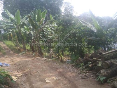 Land for Sale at Upputhara, Idukki