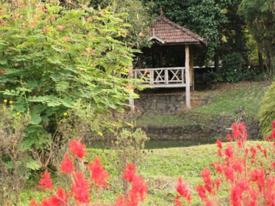 Farmhouse for Sale at Ernakulam