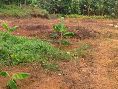 Land for Sale Near Puthukkad, Thrissur