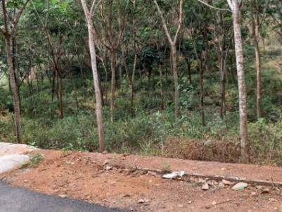 Land for Sale at Ezhakkaranad, Vettithara, Ernakulam
