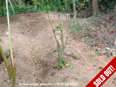 Land for Sale at Venjarammoodu, Trivandrum