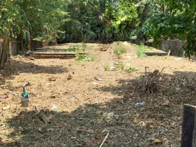 Land for Sale Near Kerala Varma College,Kanattukara,Thrissur 
