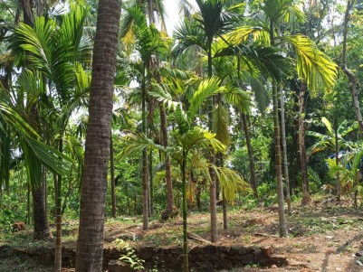 Rubber Estate for Sale at Prapoyi, Kannur 