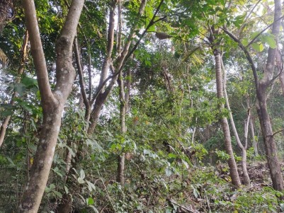 Rubber Plantation for Sale at Payyanur, Kannur