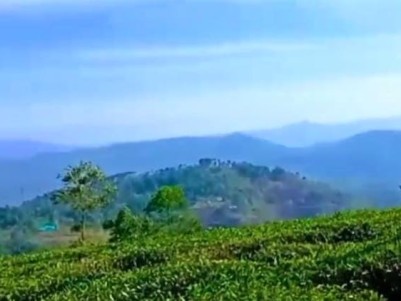 Land for Sale at Wagamon, Idukki
