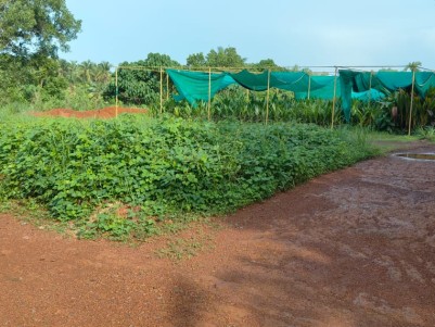 Land for Sale at Periya, Kasargod