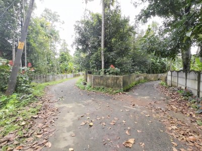 Land for Sale at Aimury, Kurupampadi, Ernakulam