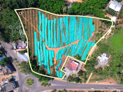 Land for Sale at Pandappilly Junction, Muvattupuzha, Ernakulam