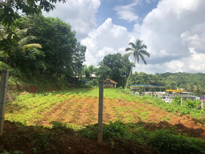 Land for Sale in Pallickathodu, Kottayam