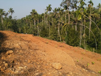 Land for Sale at Mattakkara near Kidangoor, Kottayam