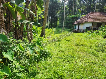 Land with House for Sale in Piravom, Ernakulam