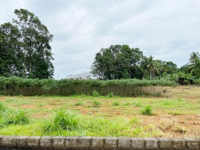 Land for Sale at Podimattam, Kanjirappally, Kottayam